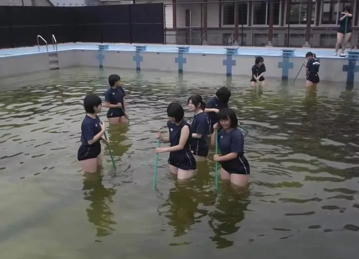 HELP! Is this a Jav or just a random picture. posted by LunchSea748