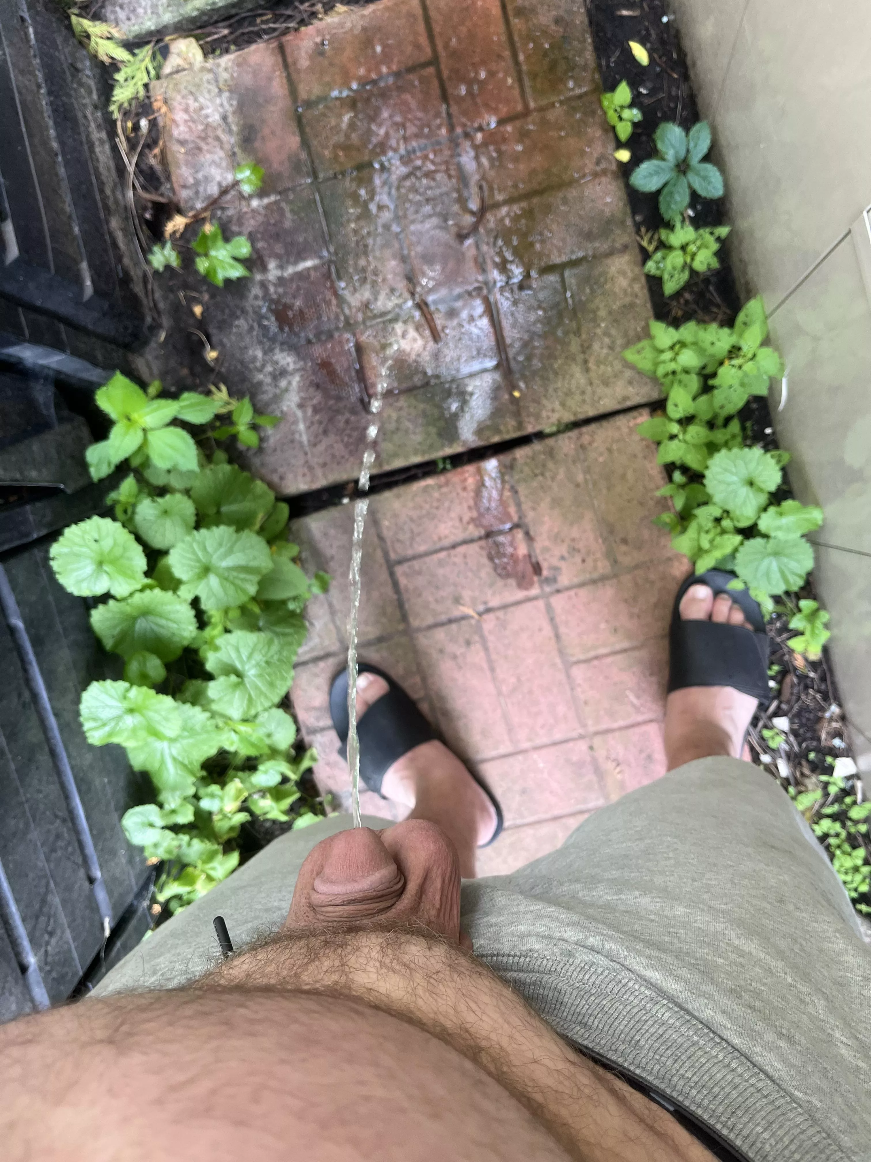 My favourite place for a summertime piss posted by capitalcub