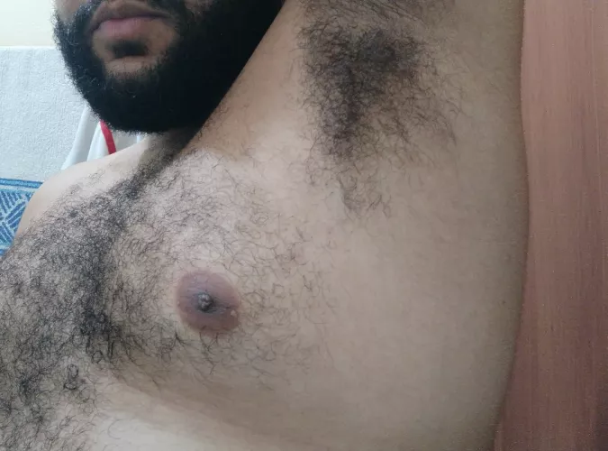 Needing a good sniff, anyone? by bearBiBH