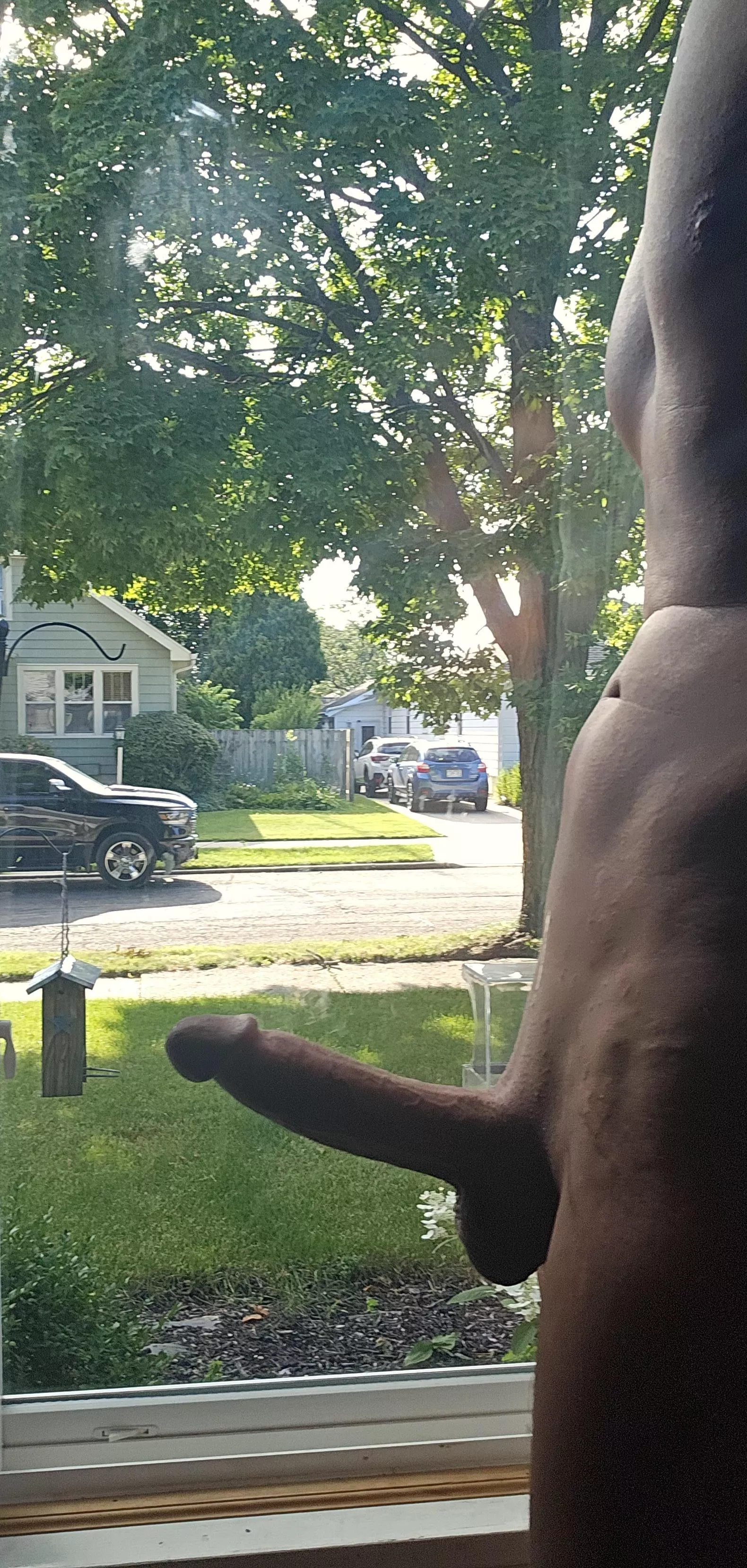 Sun finally came out posted by armyguy53110