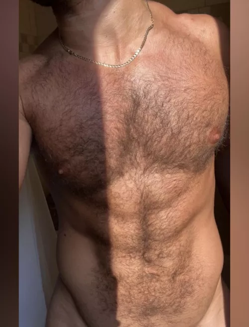 The neighbours love my furry body. I catch them staring all the time 👀 by northernjock