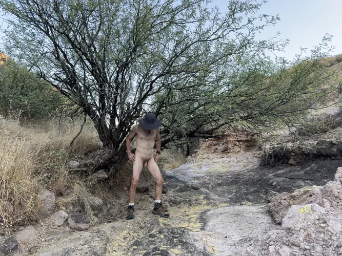 🌳 Tree Pose Tuesday 🌳 by Boobluvr0069