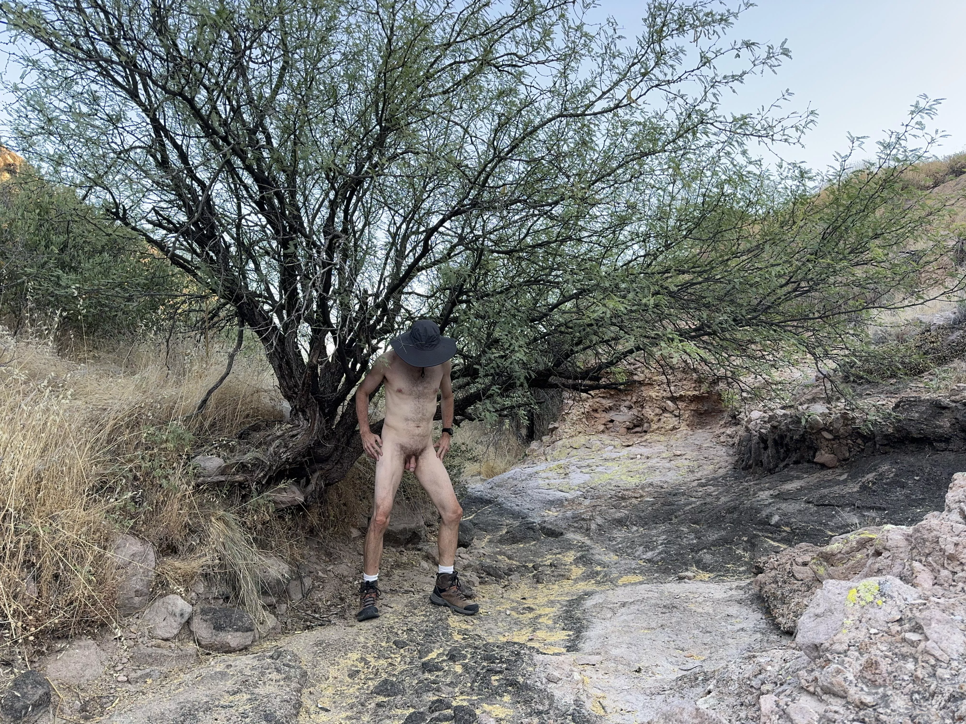 🌳 Tree Pose Tuesday 🌳 posted by Boobluvr0069