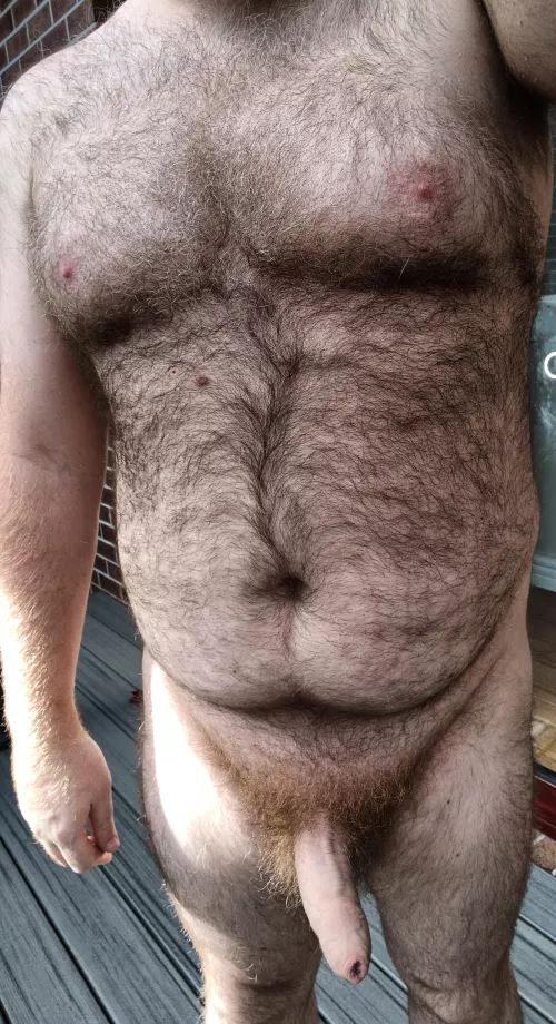 (39) A cold but sunny morning stroke  by Melbourne_uncut