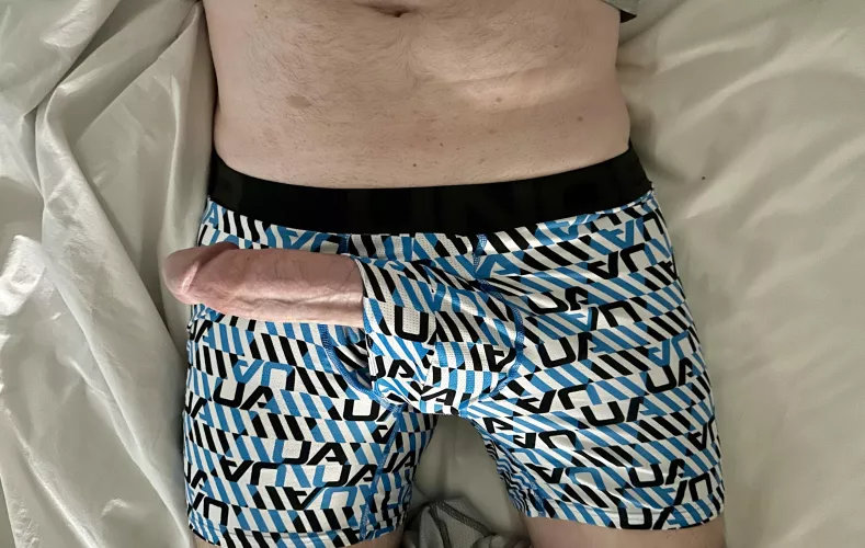 (45) should I let him out? by Useful-Watch2962