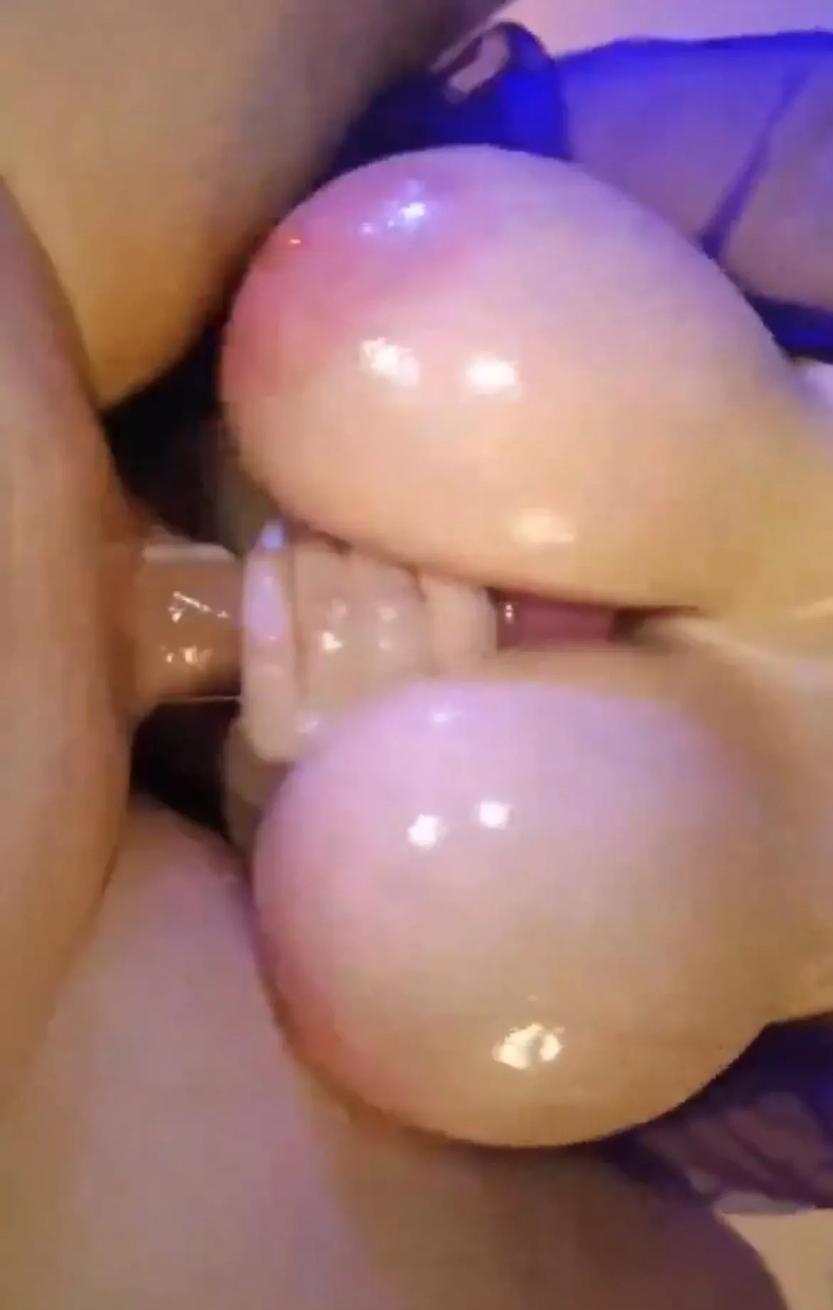 anyone know who the owner of these giant tits is? posted by goldholmium