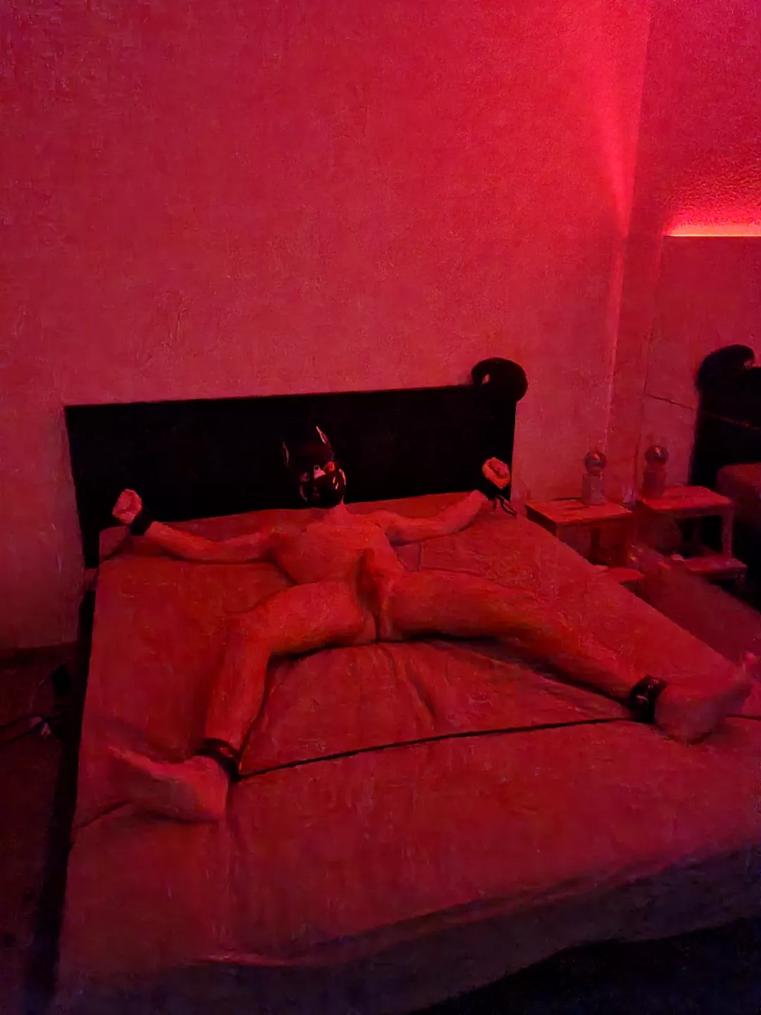 Bad puppy! posted by gay_w00fz