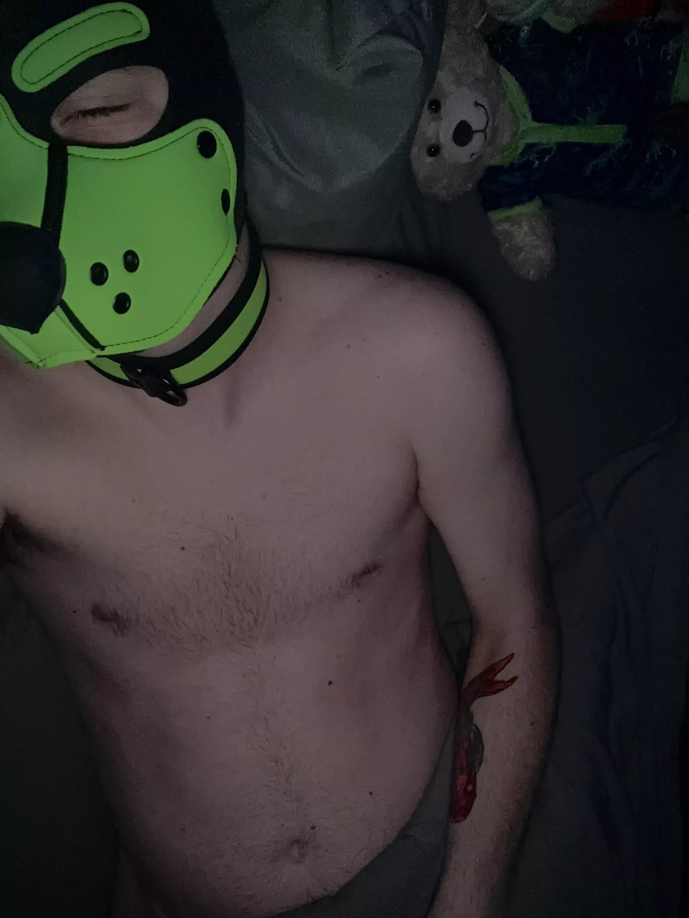 Eepy pup posted by Pup_Kinn