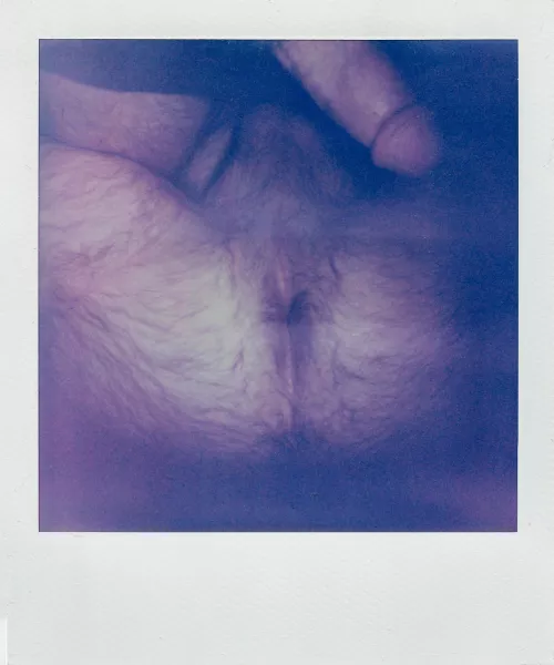 I took a polaroid of my hairy hole by Arlon_Woods