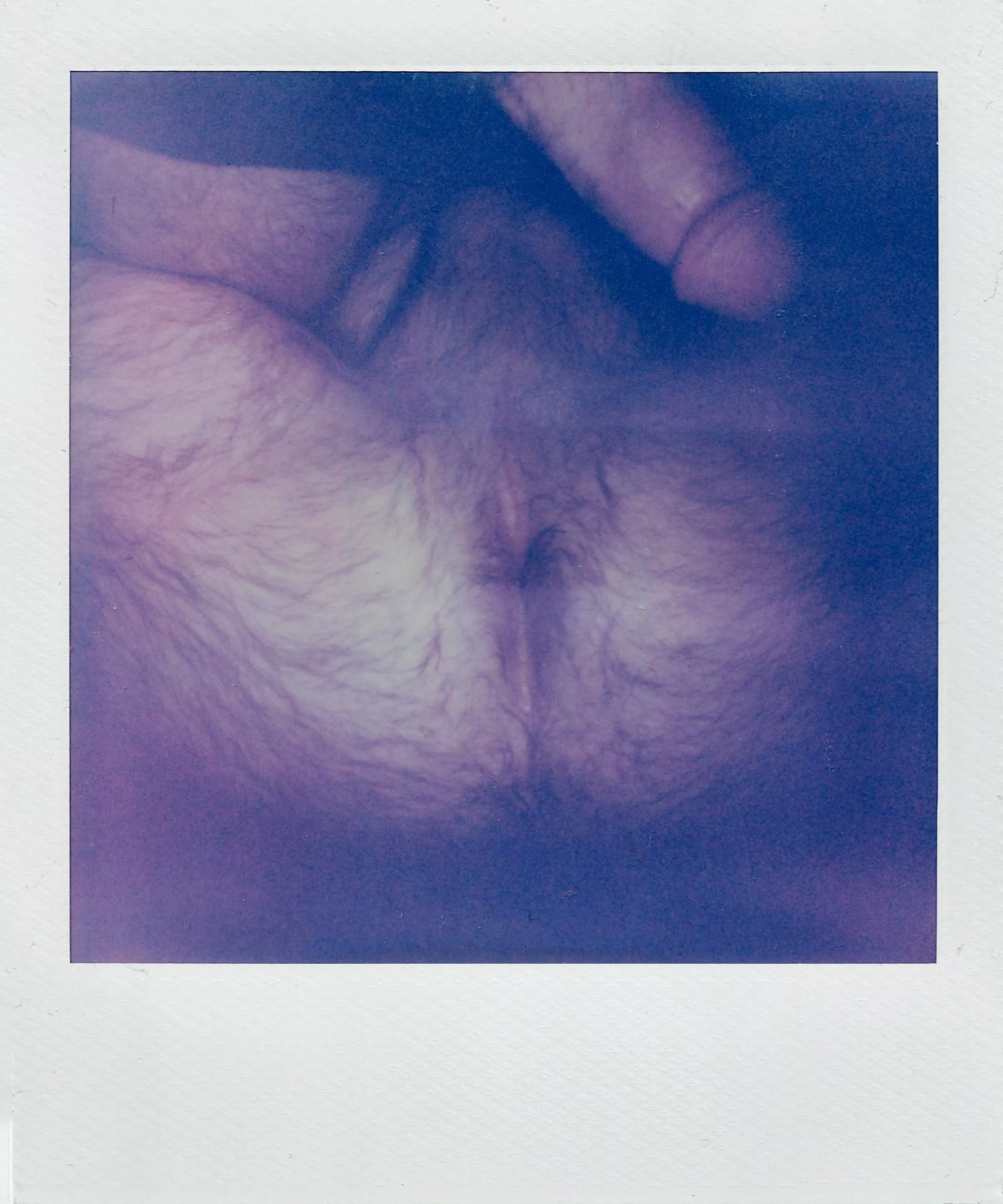 I took a polaroid of my hairy hole posted by Arlon_Woods