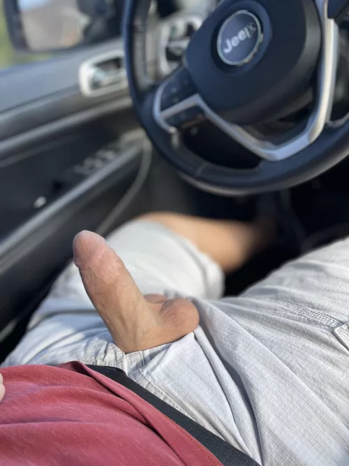 Out for a drive.   by thcknhppy