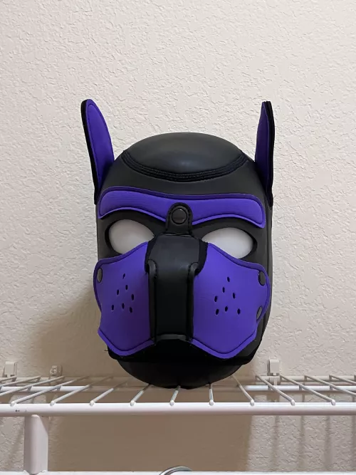 Pup’s in the closet by Sweaty_Year_2467