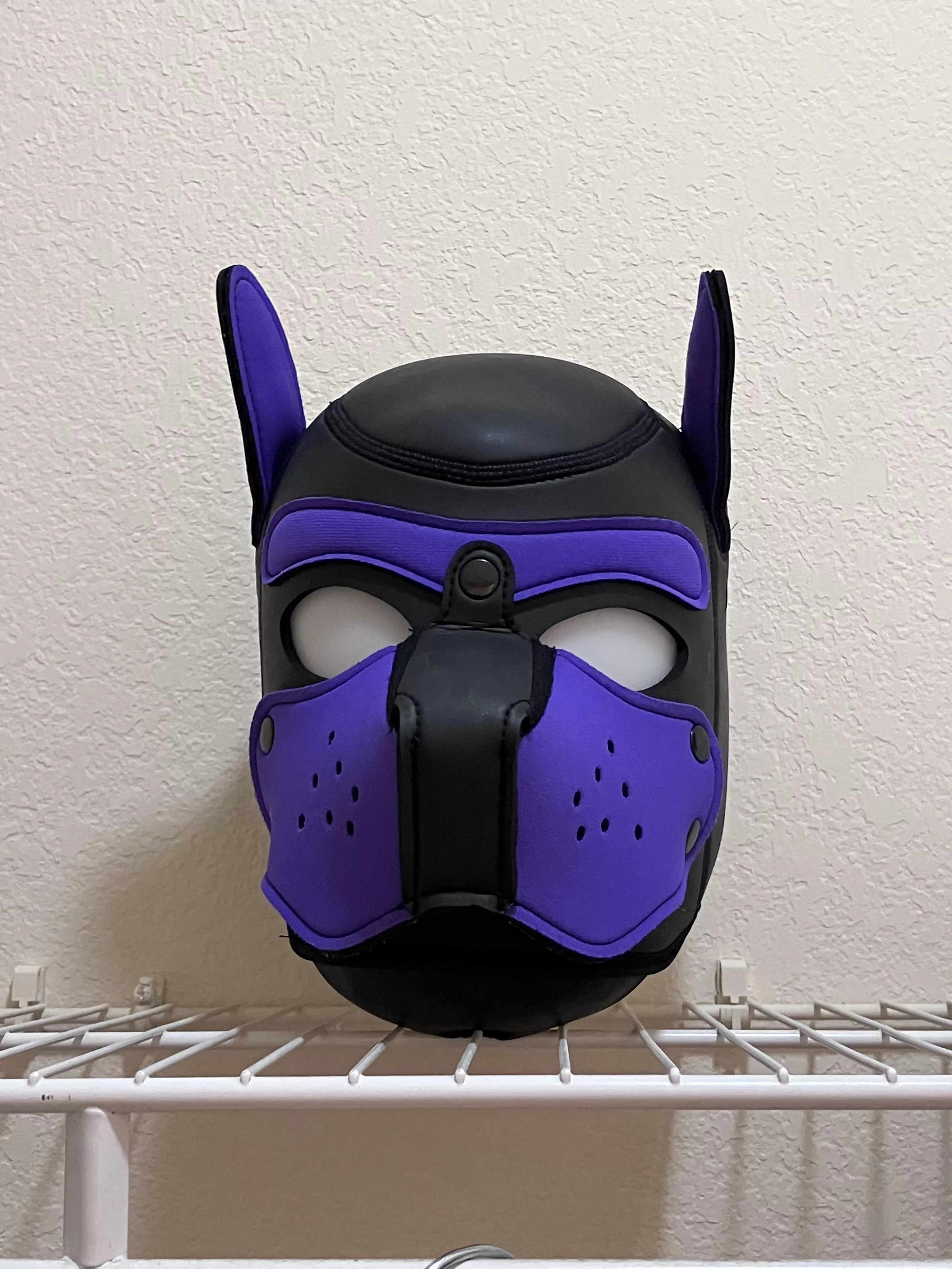 Pup’s in the closet posted by Sweaty_Year_2467