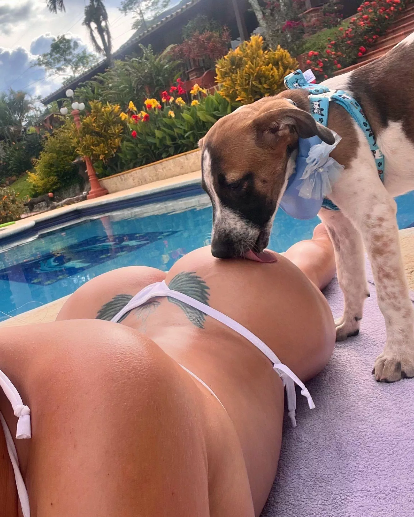 Want to be that puppy so bad  posted by vocaza