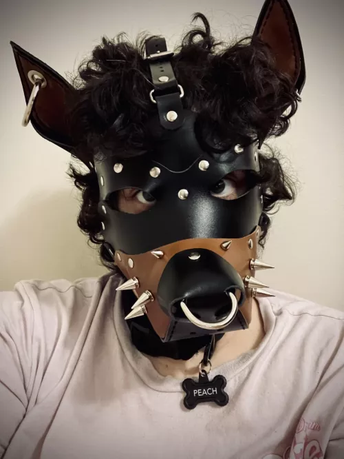 Would you walk me ? by Peach-y_cream-y