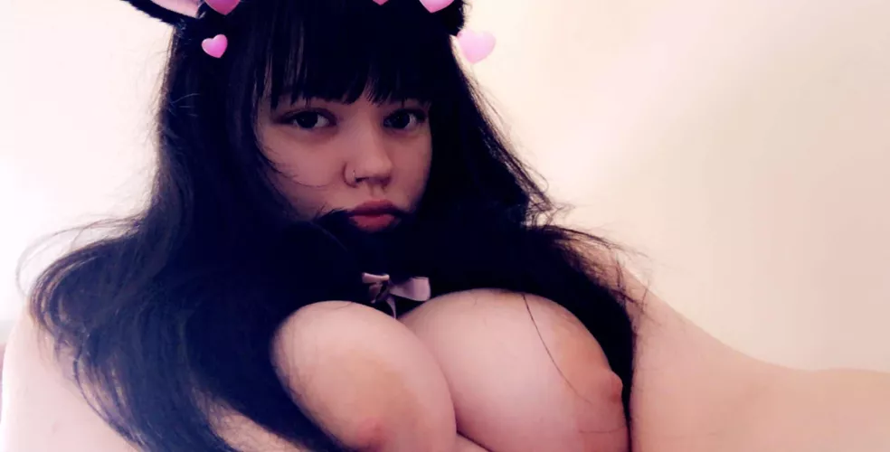 Am i a Pretty Kitty? 🙈 by Ahrelle