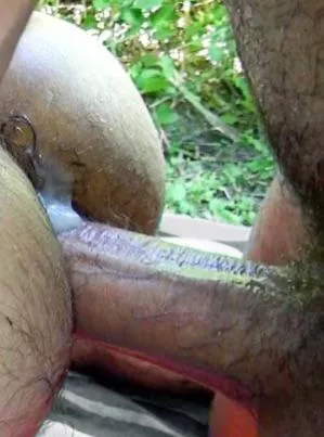 He bred him posted by Rick774