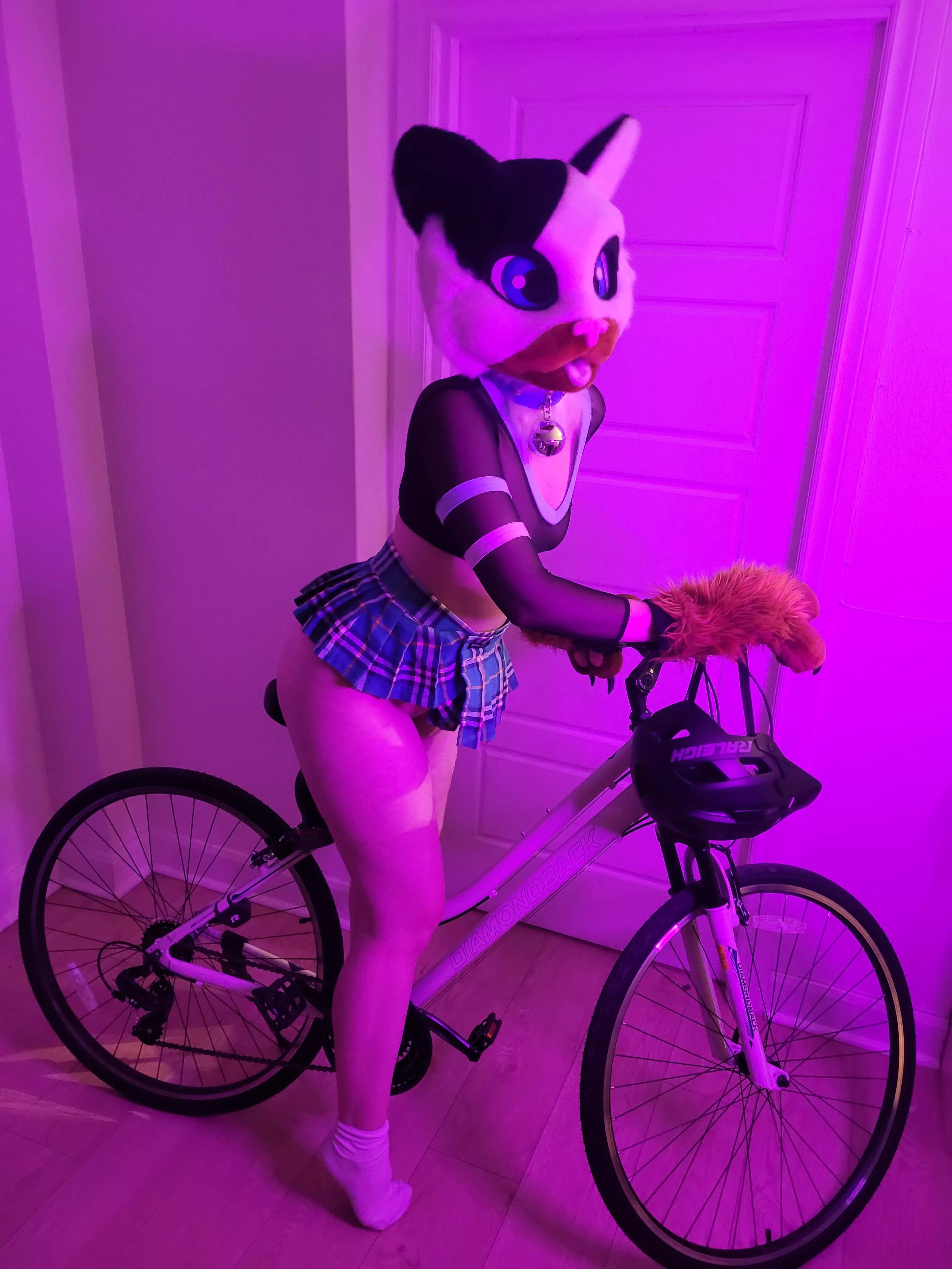 Hello it's Charlie your kitty girl. I feel so horny tonight than I decided to hump my bicycle... I know it's bad😿 but it was so good for my 🐱 posted by charliethefurry