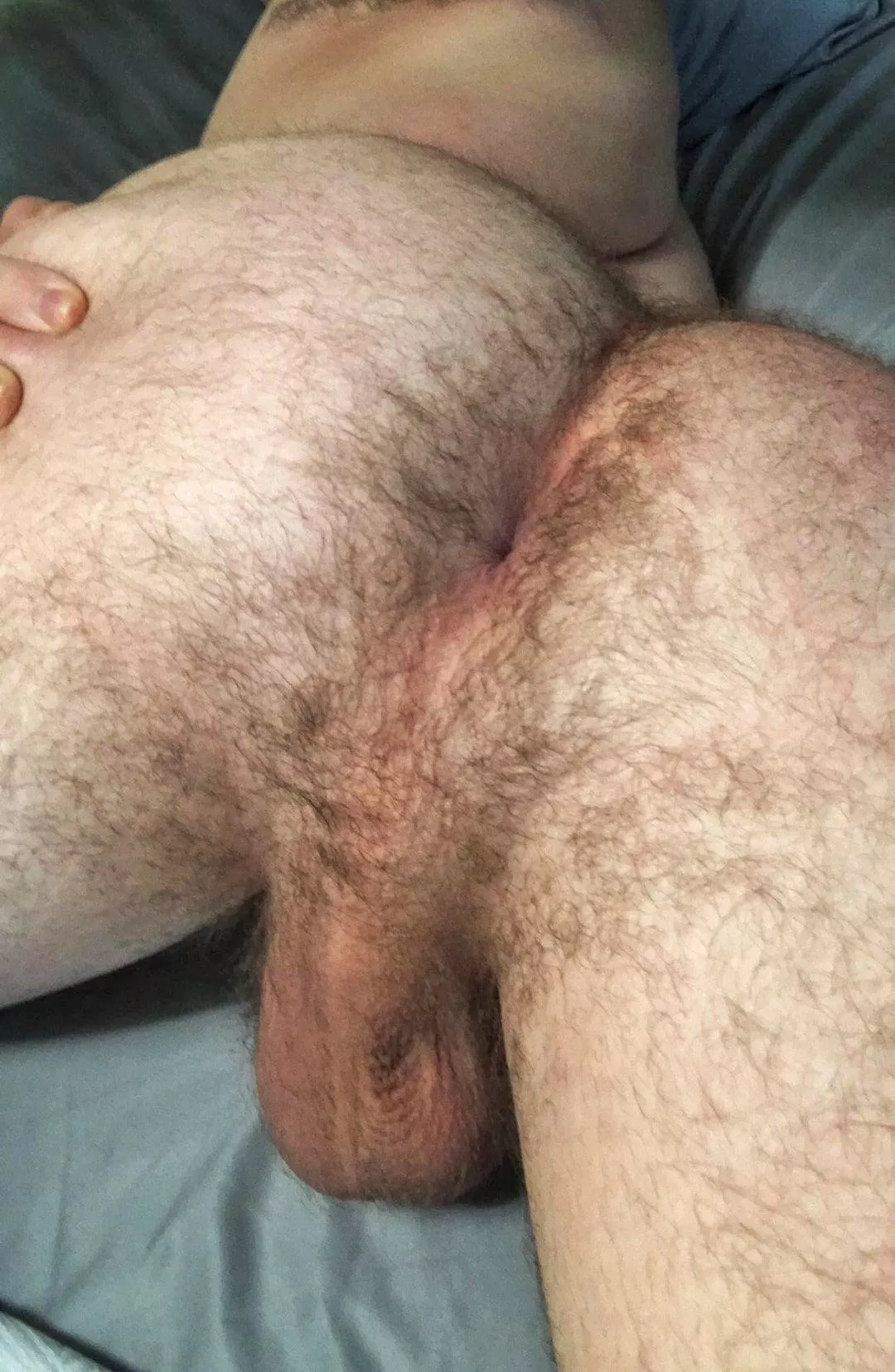 My hairy ass for everyone posted by chongoarg