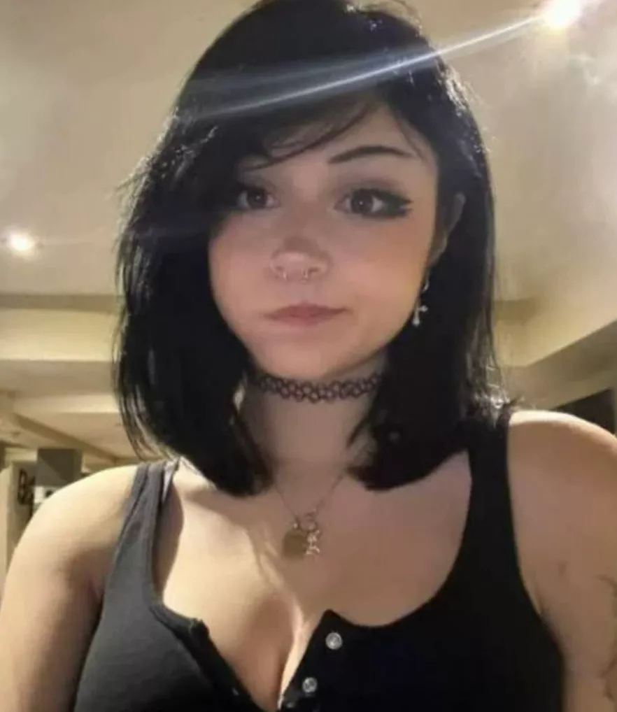 What is your favorite band of all time? posted by No-Discussion2336