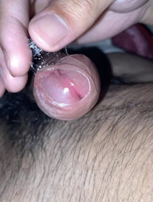 My Filipino cock is like an aloe very plant (20) by Prize_Ask_6616