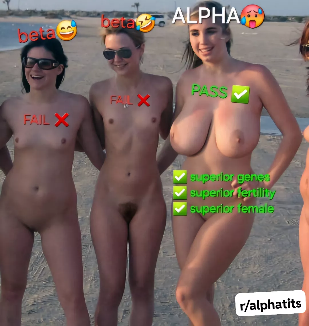 Alpha Tits certified 🍈🏅🍈 posted by deathonrepeat