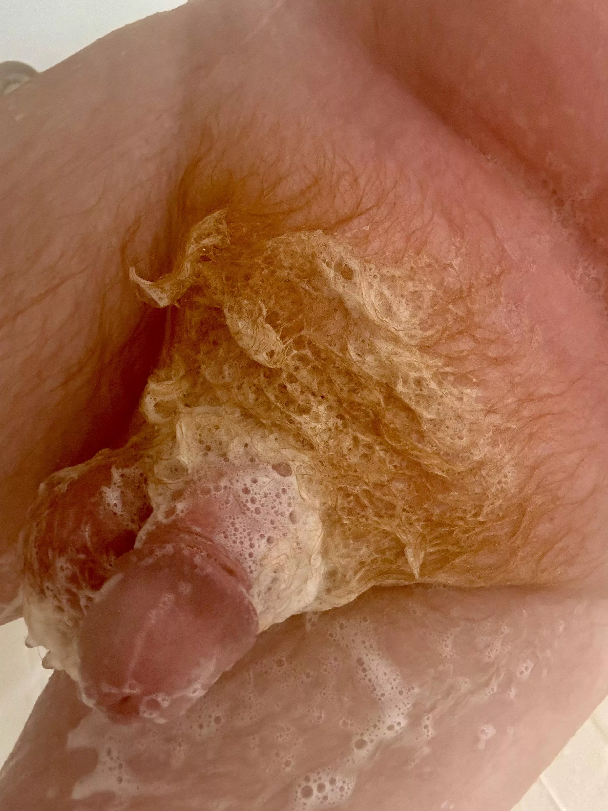 Can a ginger get some help posted by BluejayNo6410