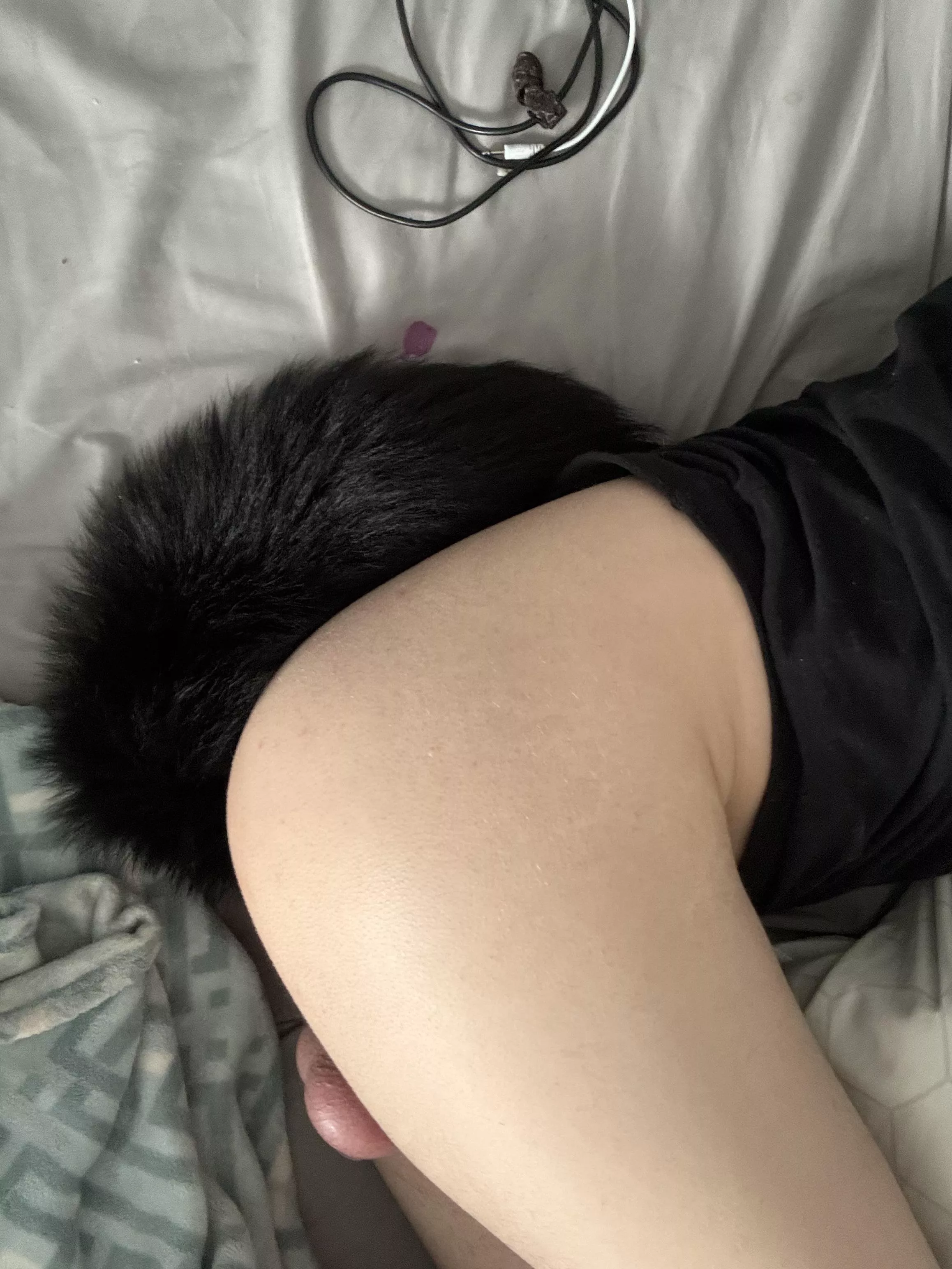 Feeling like a pathetic little puppyslut with my tail in and my cage on :3 posted by Party-Corner-4315