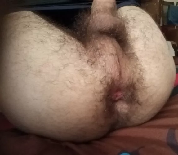 furry balls  by Practical_Phrase_720