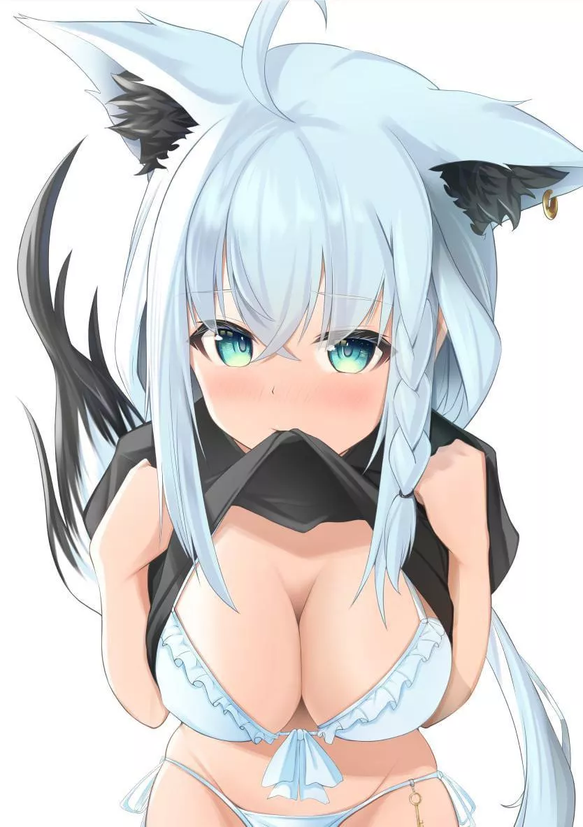 Giving a sneak peak  posted by bandogrub