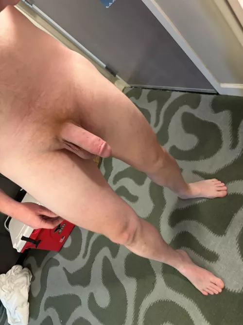 Sorry r/gingerdudes for overposting. I just belong here :) by ClamChopzz