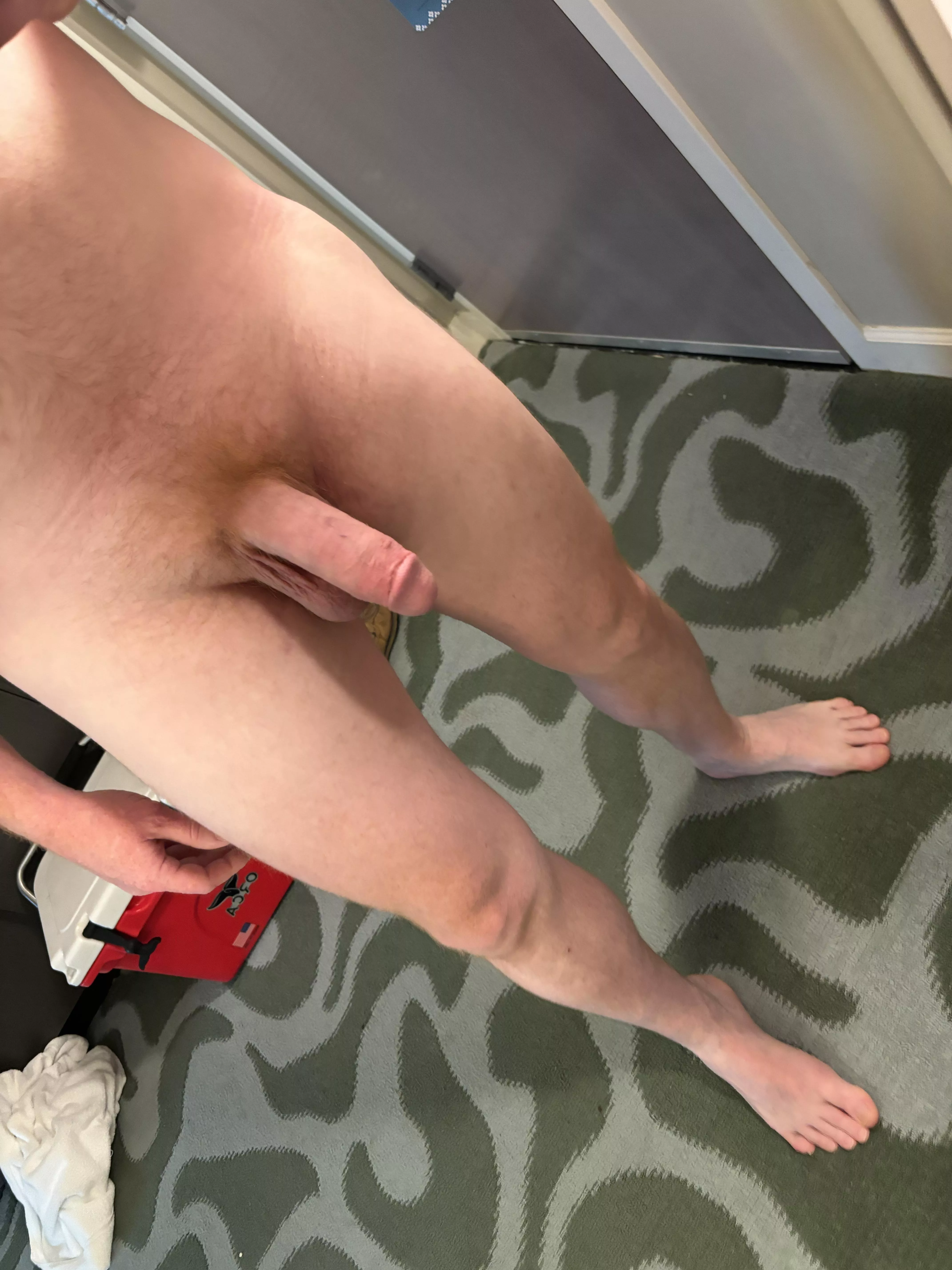 Sorry r/gingerdudes for overposting. I just belong here :) posted by ClamChopzz