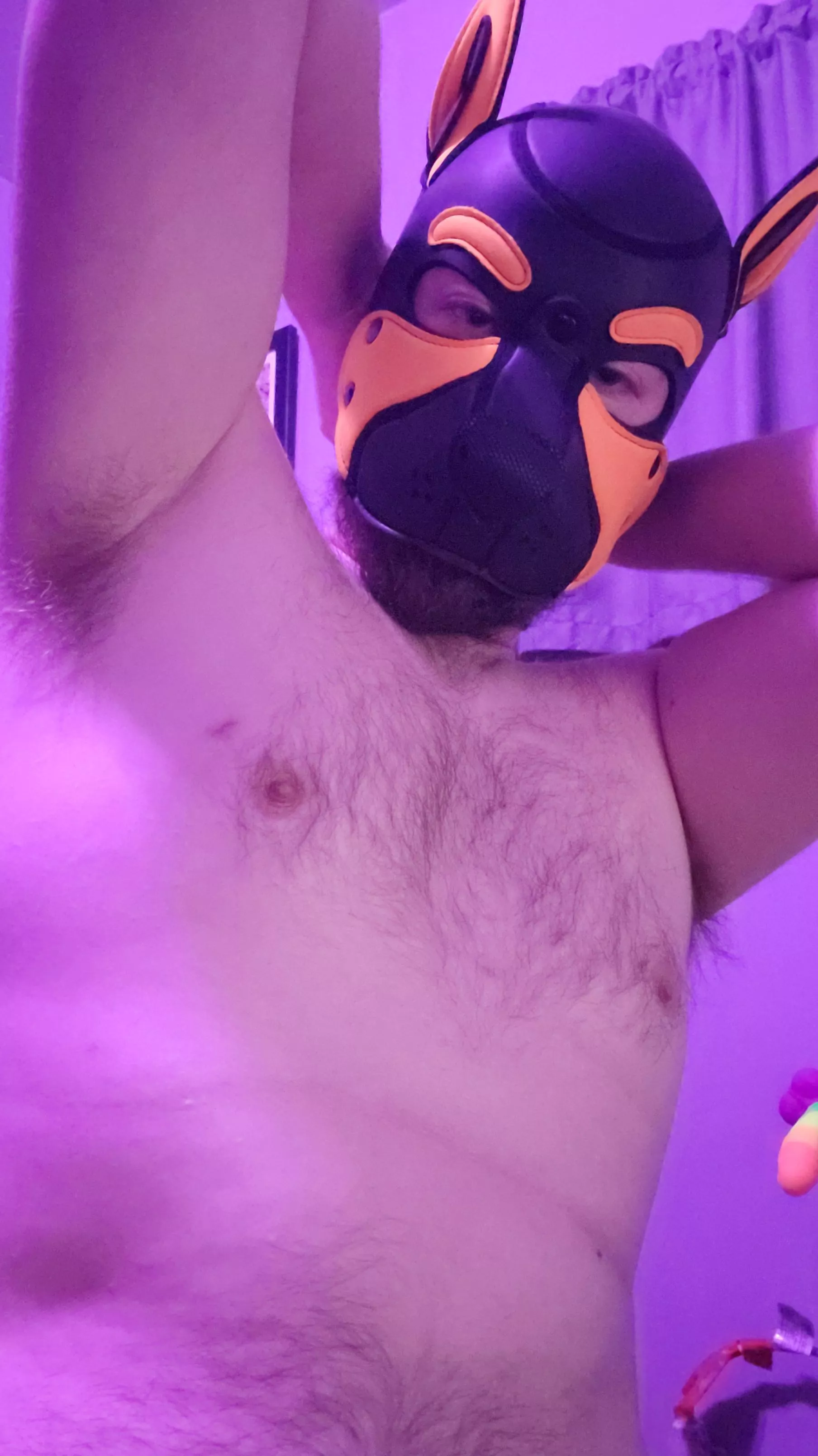 Feeling good today woof! posted by Rusty-Creamsoda