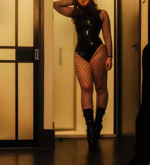 i don't know what's better than latex and fishnets by shnystar