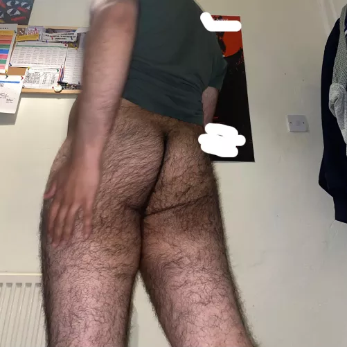 I’m a Paki Bi Slut and I have a roud hairy ass for you. Would you slap it and eat me? by Same-Cranberry6987