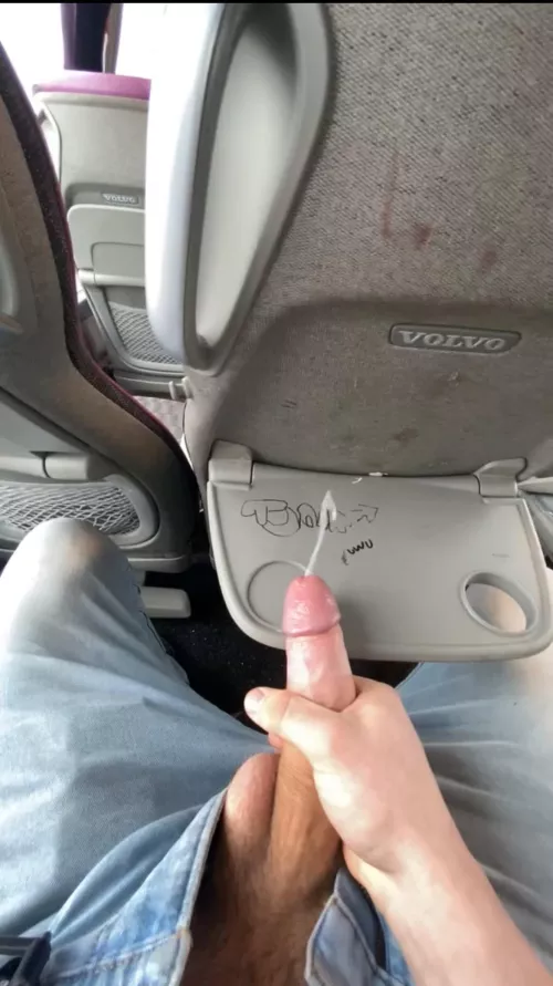 public bus cum by mopo66666