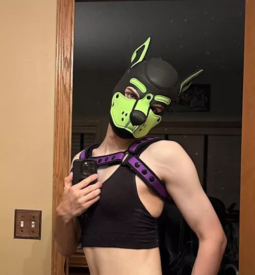 Pupper has a propostion by Age_Correct