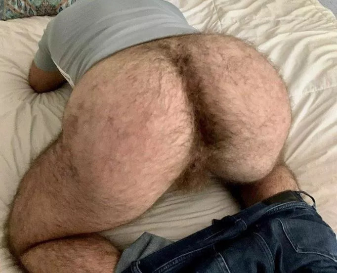 Stuff your face in posted by TheeWankBank