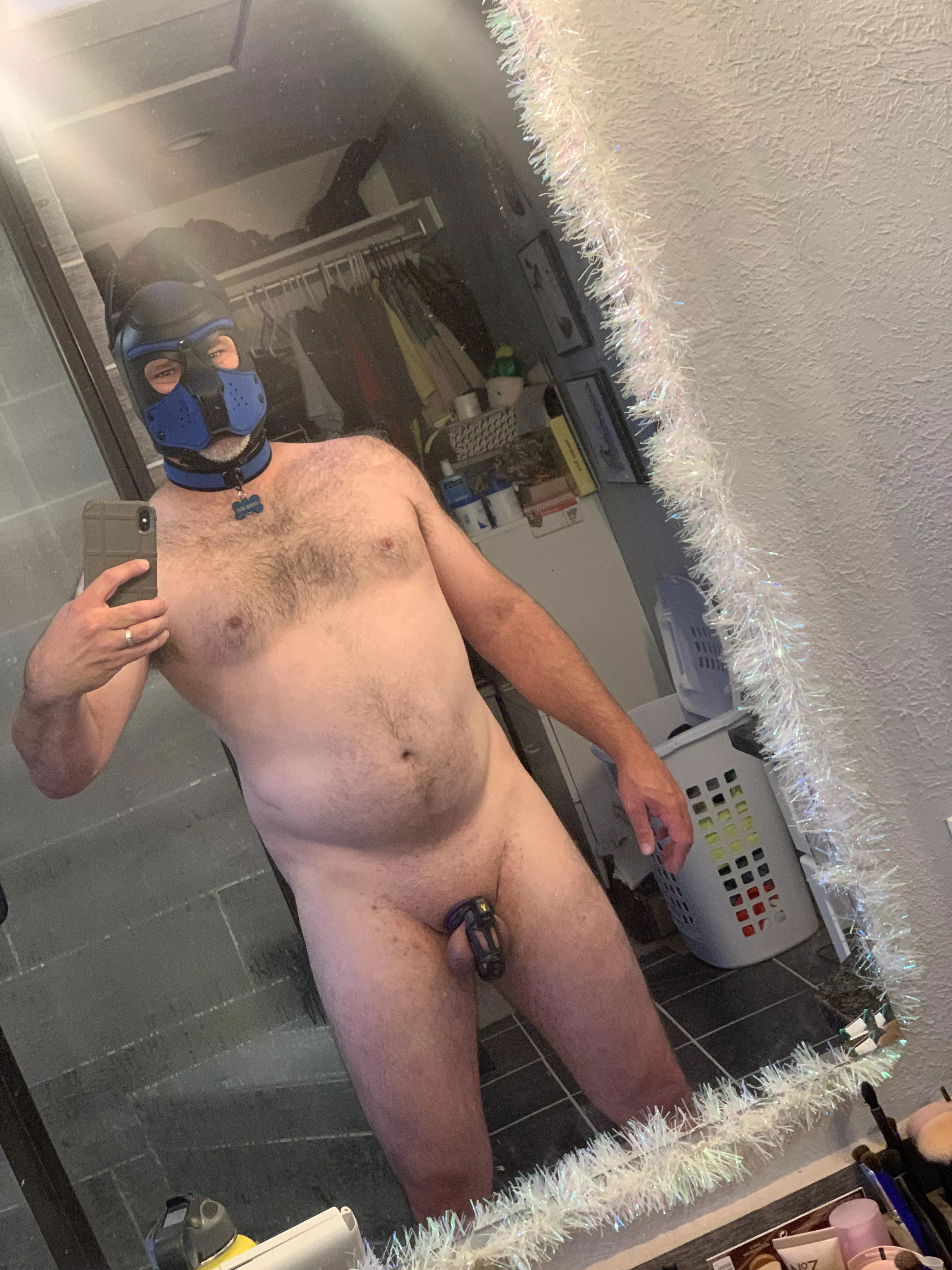 This pup is ready for obedience training! 🐶😈 posted by mikey9821