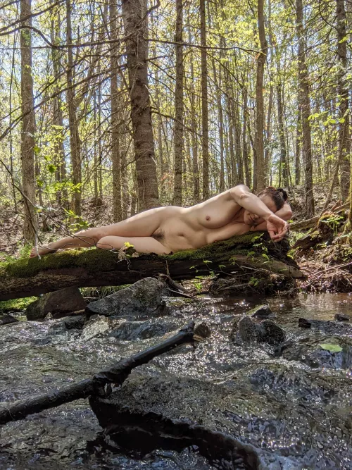 What a day for a daydream....  by DaddysCuriousKitty