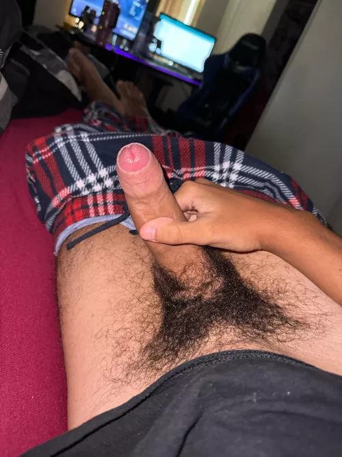 18 hosting in florida hmu snap:zachy.poo07 by Fun-Handle3972