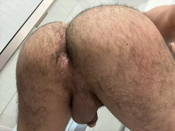 How’s the view? Would you breed me 🙊 posted by Public_At