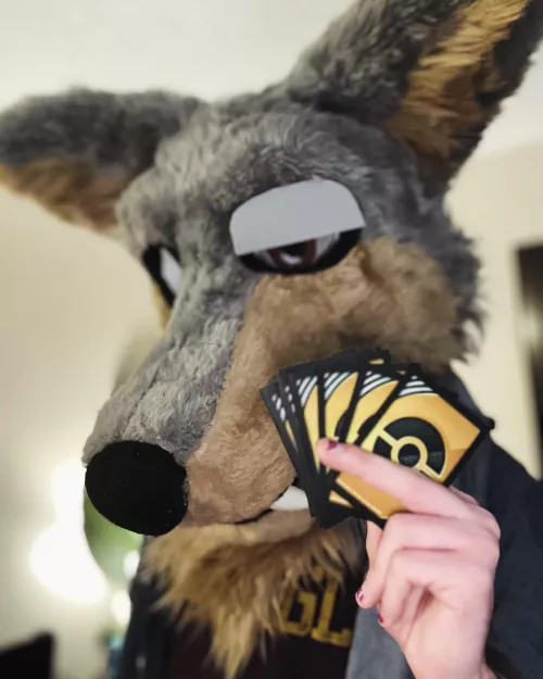 It’s time to duel!! What card games do you all play? by starzphillip