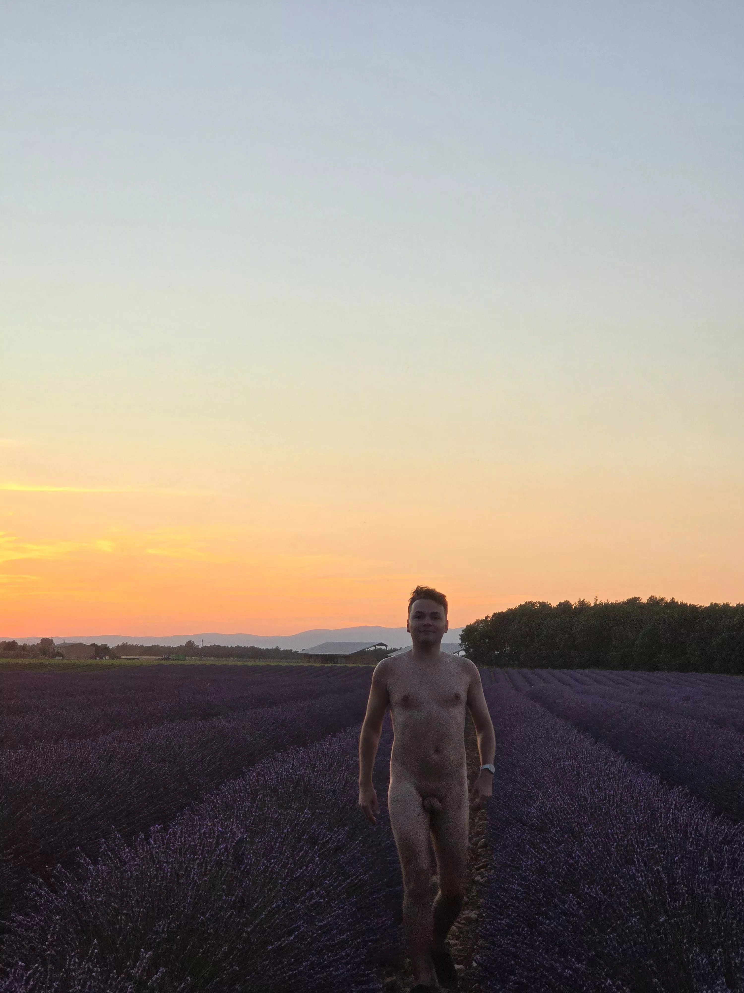 Lavender season in France posted by looppoolloop