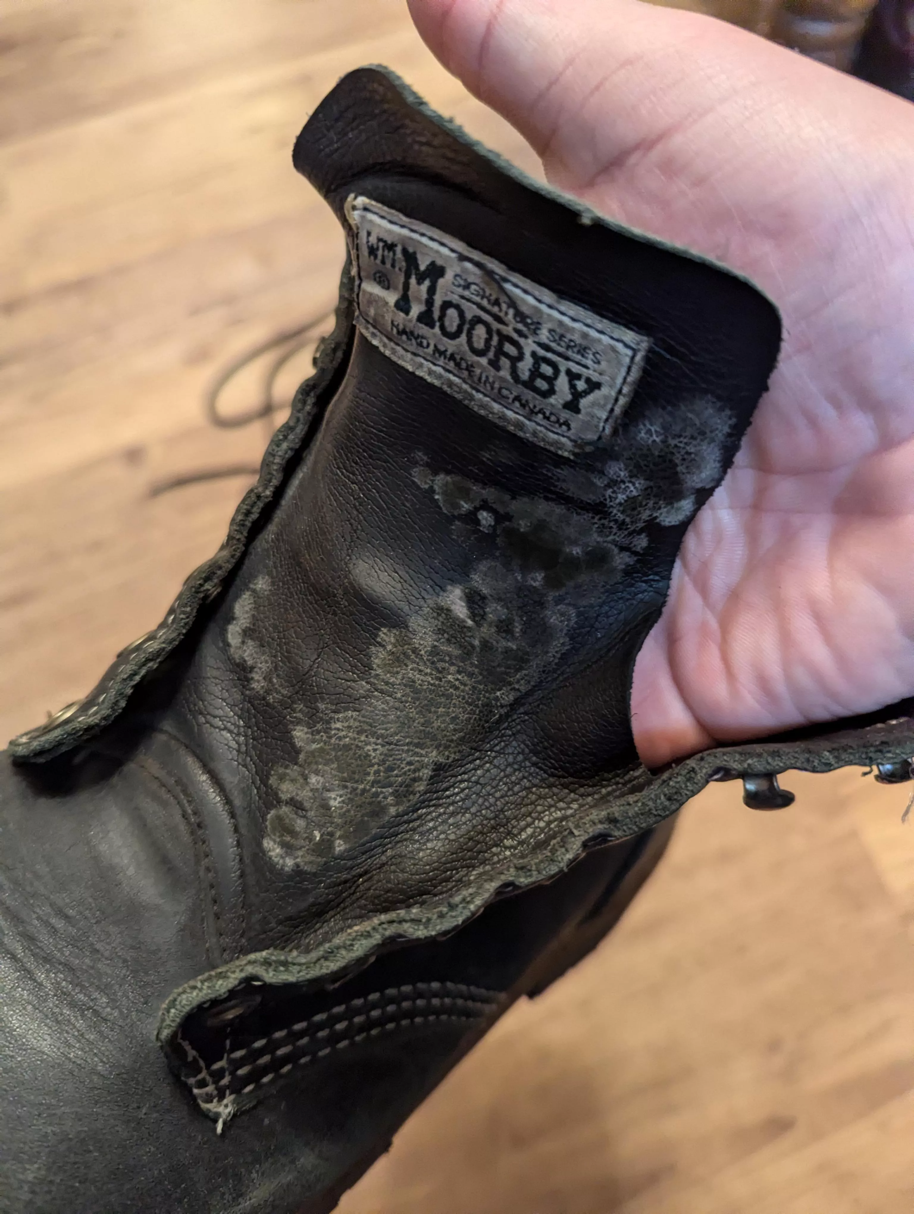 This is a first, Mold on tongue after taking kiltie out. posted by sharpace8