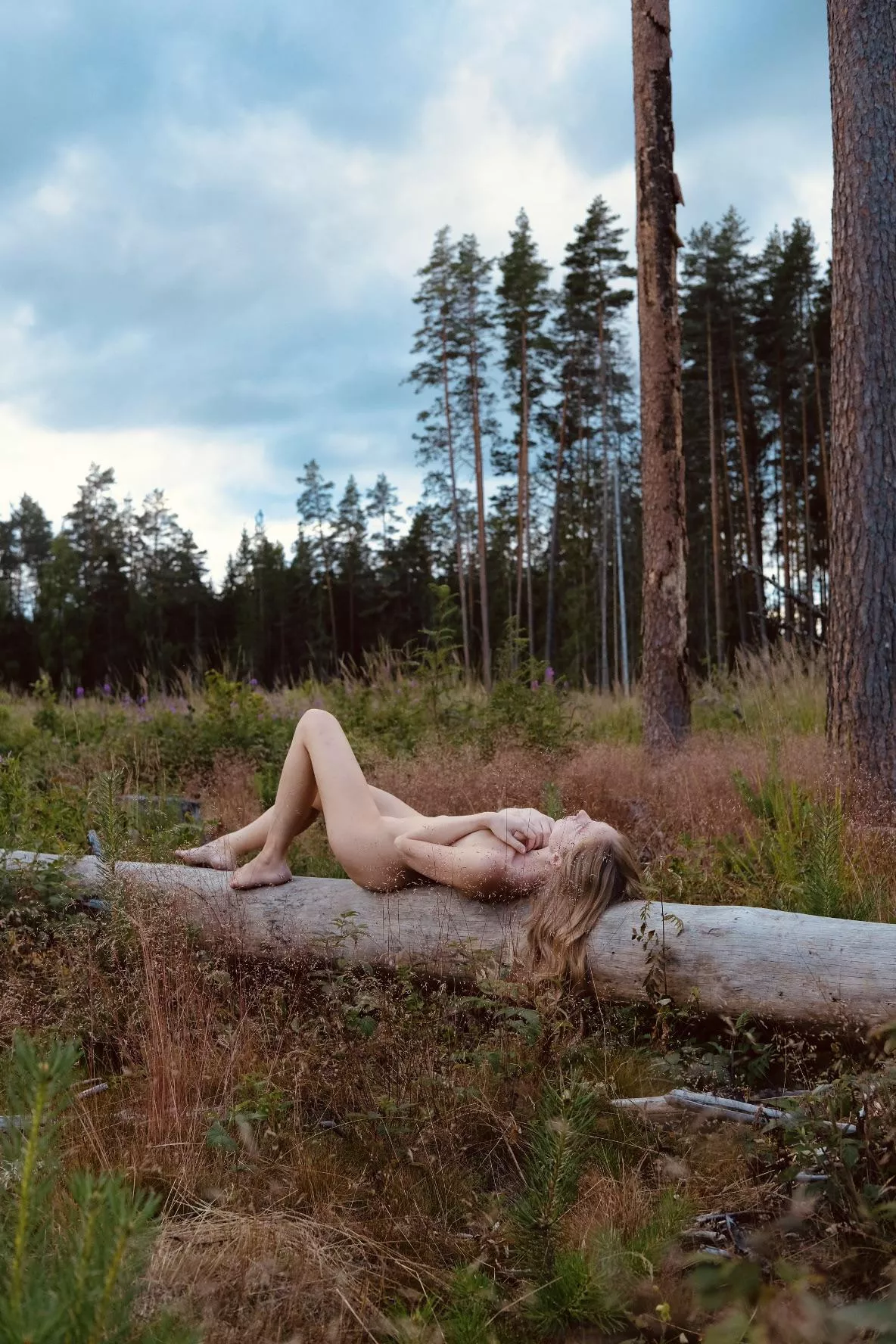 A magical evening posted by Artanni55