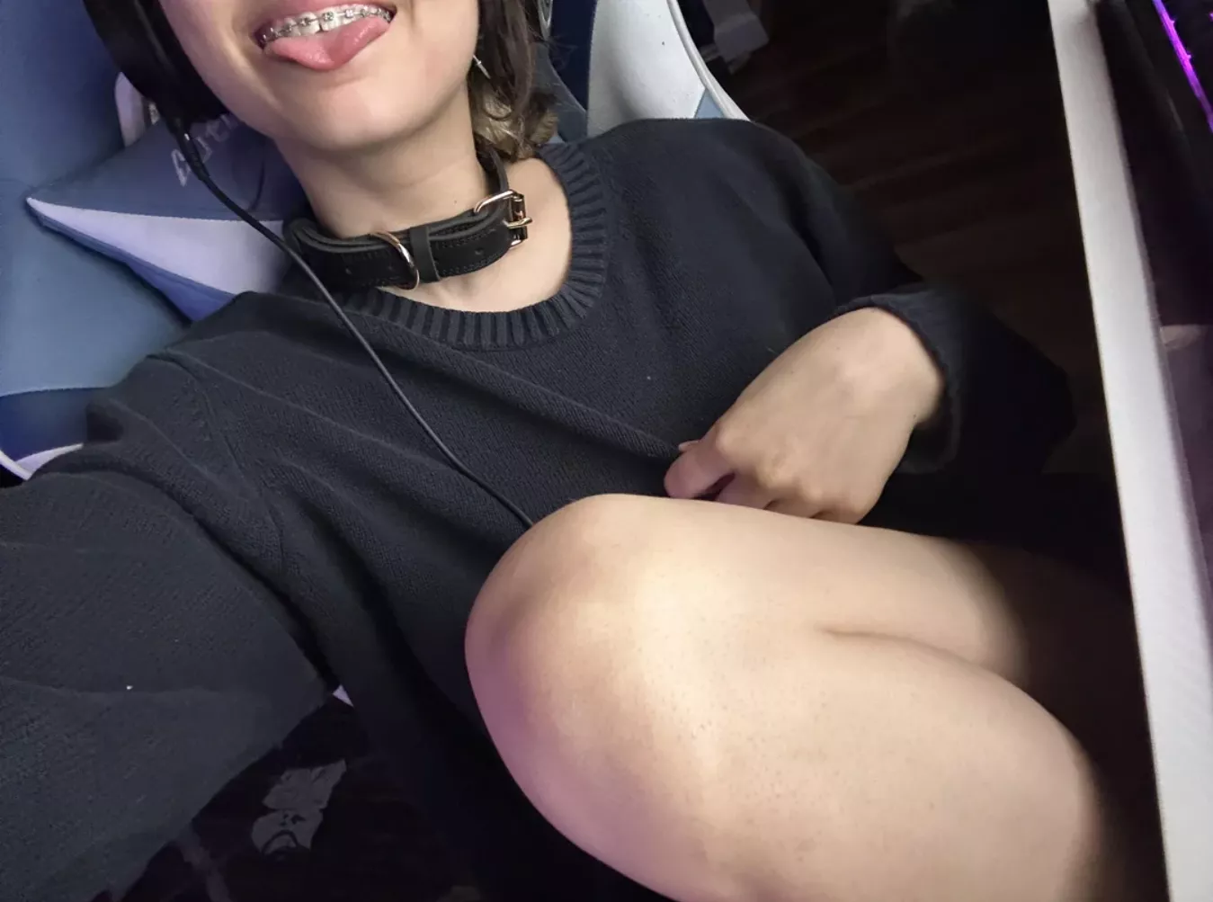 collared braces pup!  posted by PupFiggy