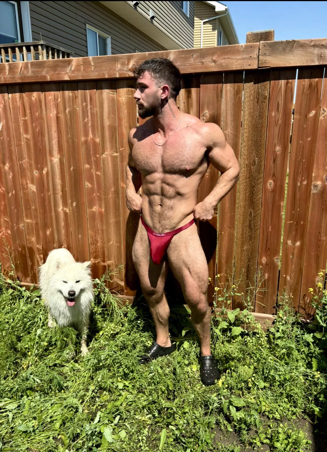 Do you wanna be my neighbour? posted by alphaflexer