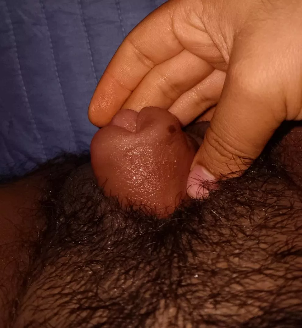 [Ftm] Got so fat posted by FTM_Gum_83