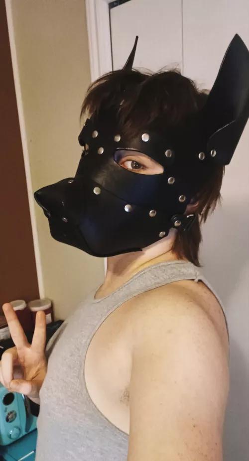 ftm pup here :3 nice to meet you! by puppyboyabel